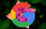 Googles Новая ОС с открытым исходным кодом Fuchsia — Что мы можем ожидать от нее?