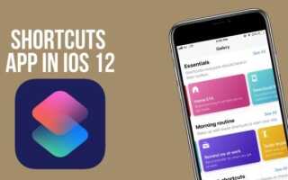 Приложение ярлыков: как создавать ярлыки в iPhone?