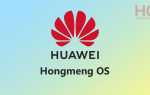 Вопрос: Что вы думаете о названии Huawei OS Hongmeng?