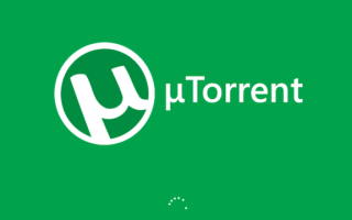 Что такое торренты? Как работает торрент? — BitTorrenting 101