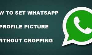 Как установить изображение профиля WhatsApp без обрезки [Руководство для начинающих]