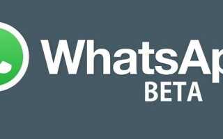 Как скачать бета-версию WhatsApp на Android [Руководство]