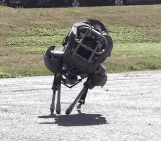 бостон робототехника собака робот