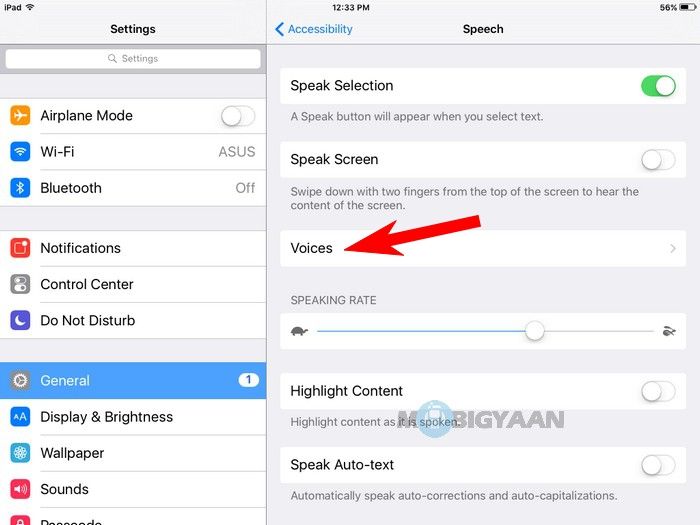How-to-let-your-iPad-speak-text-iOS-Guide-06 