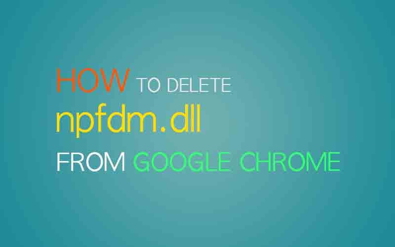 Извлеките npfdm.dll из Google Chrome (Каталог плагинов)