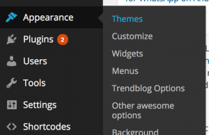 Настройки WordPress темы