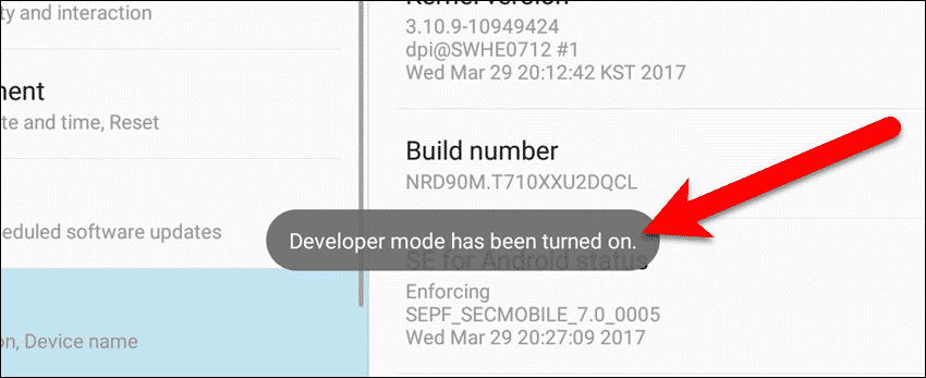 Режим Android Developer включен.