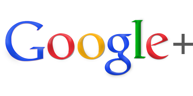 Google плюс логотип