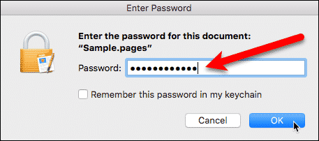 Введите пароль, чтобы открыть документ Страницы