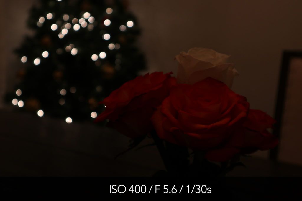 Тест Canon M5 высокого ISO и фотографии