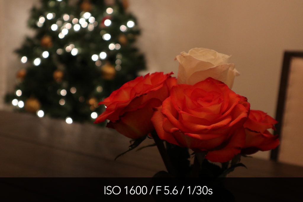Тест Canon M5 высокого ISO и фотографии